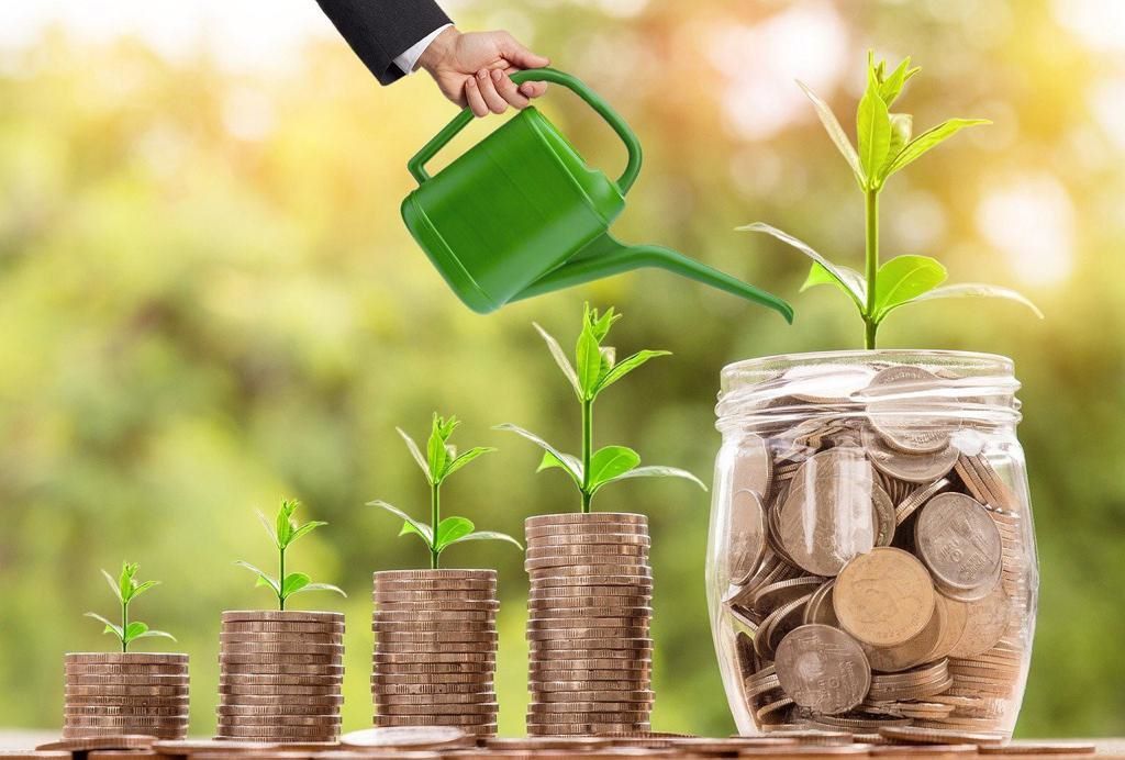 A person watering plants on top of coins.